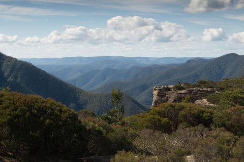 Inside The Greater Blue Mountains World Heritage - A Private Wildlife Safari Overnight - Accommodation Mount Tamborine 5