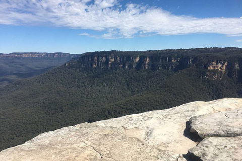 The Explorers' Discovery Tour - Gold, Wine & Wildlife - Accommodation Mount Tamborine 1