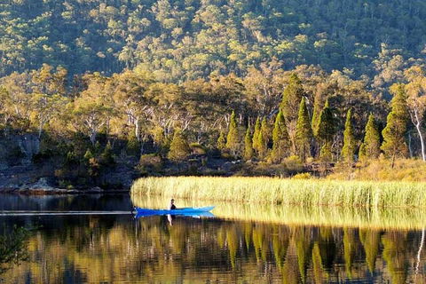 The Explorers' Discovery Tour - Gold, Wine & Wildlife - Accommodation Mount Tamborine 2