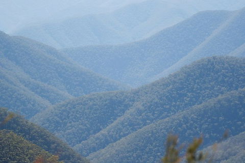 From The Mountains To The Bay - 4 Day Rediscovery Private Tour - Accommodation Mount Tamborine 1