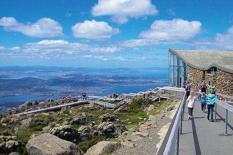 Mt Wellington Tour And MONA Admission - Accommodation Mount Tamborine 1