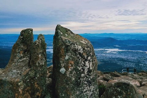 Mt Wellington Tour And MONA Admission - Accommodation Mount Tamborine 2