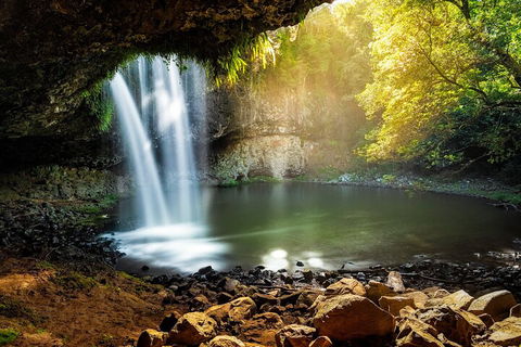 Behind The Bay - Explore Like A Local - Accommodation Mount Tamborine 2