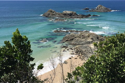 Behind The Bay - Explore Like A Local - Accommodation Mount Tamborine 3