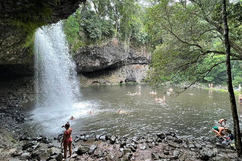 Behind The Bay - Explore Like A Local - Accommodation Mount Tamborine 4