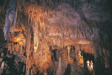 4 Day Tour: Albany, Margaret River, Valley Of The Giants TreeTop Walk From Perth - Accommodation Mount Tamborine 1