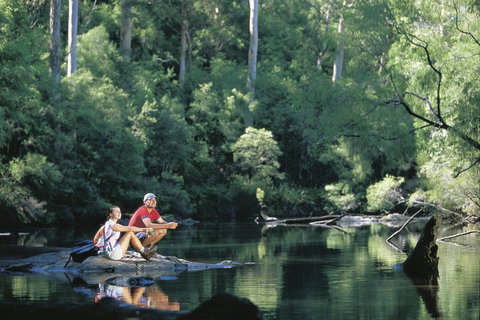 4 Day Tour: Albany, Margaret River, Valley Of The Giants TreeTop Walk From Perth - Accommodation Mount Tamborine 3