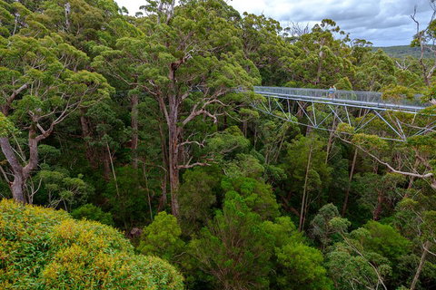 4 Day Tour: Albany, Margaret River, Valley Of The Giants TreeTop Walk From Perth - Accommodation Mount Tamborine 4