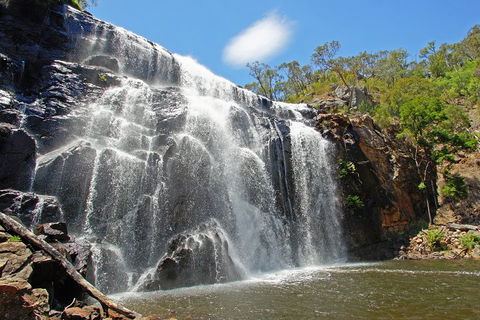 Grampians National Park Small-Group Eco Tour From Melbourne - Accommodation Mount Tamborine 0
