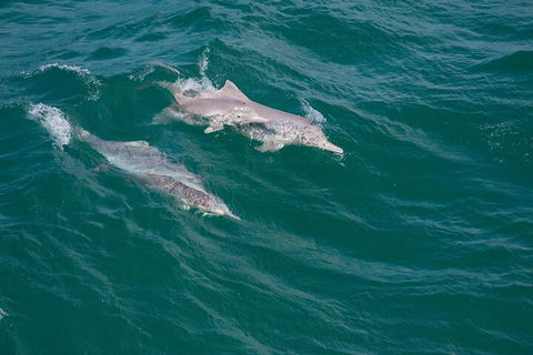 North Stradbroke Island Private Tour With Pickup - Accommodation Mount Tamborine 0