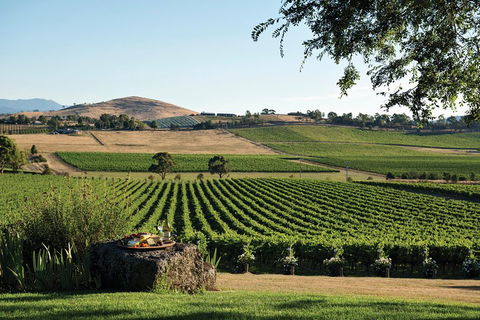 Small Group 6 Guests: Ultimate Yarra Valley Food And Wine - Mercedes Van - Accommodation Mount Tamborine 4