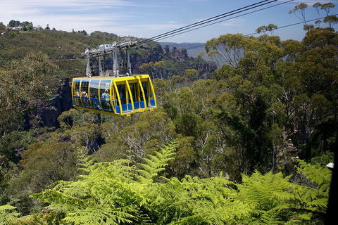 Go City | Sydney Explorer Pass With 20+ Attractions And Tours - Accommodation Mount Tamborine 0