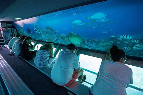 Great Barrier Reef Day Cruise To Reefworld - Accommodation Mount Tamborine 0