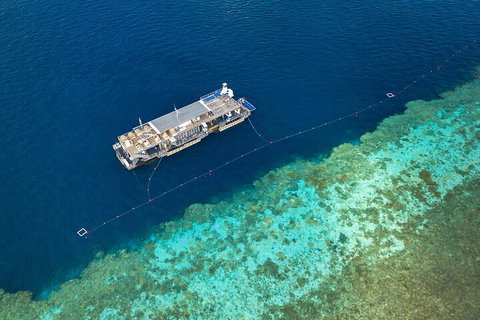 Great Barrier Reef Day Cruise To Reefworld - Accommodation Mount Tamborine 2
