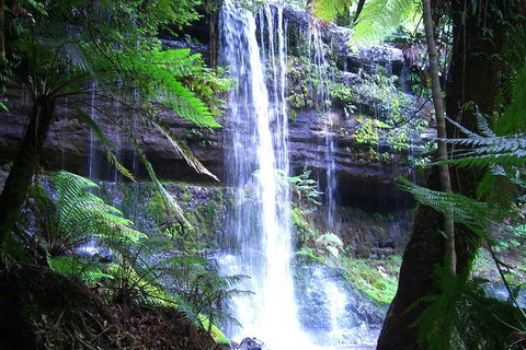 Mt Field National Park And Russell Falls From Hobart - Accommodation Mount Tamborine 0