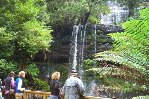 Mt Field National Park And Russell Falls From Hobart - Accommodation Mount Tamborine 1