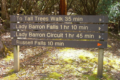 Mt Field National Park And Russell Falls From Hobart - Accommodation Mount Tamborine 2