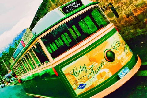 Hobart Half-Day Sightseeing Coach Tram Tour - Accommodation Mount Tamborine 5