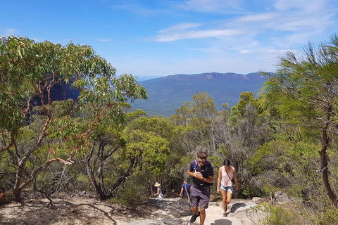 Blue Mountains Unique Small-Group Day Adventure With BBQ Lunch - Accommodation Mount Tamborine 3