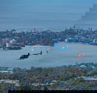 30-Minute Sydney Harbour and Olympic Park Helicopter Tour - Accommodation Mount Tamborine