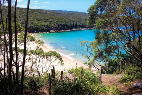 South Coast Private Charter - Accommodation Mount Tamborine 1