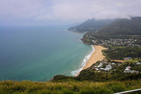 South Coast Private Charter - Accommodation Mount Tamborine 3