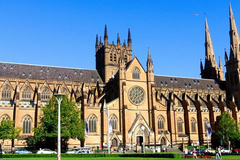 Sydney Private Day Tours | Main Attractions And Highlights | 6 Hour Private Tour - Accommodation Mount Tamborine 1