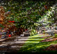 Fully Inclusive Blue Mountains Private Tour inc Scenic World  Featherdale entry - Accommodation Mount Tamborine