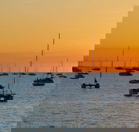 Darwin Hop-on Hop-off Bus Tour - Accommodation Mount Tamborine