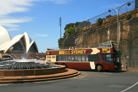 Big Bus Sydney And Bondi Hop-on Hop-off Tour - Accommodation Mount Tamborine 3