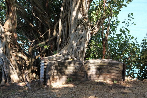 Darwin Walking Tour: World War II Reflections - Accommodation Mount Tamborine 3