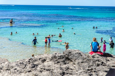 Rottnest Island Roundtrip Fast Ferry From Hillarys Boat Harbour - Accommodation Mount Tamborine 1