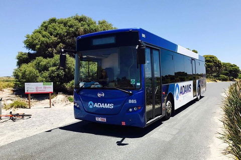 Rottnest Bayseeker Bus Tour From Hillarys Boat Harbour - Accommodation Mount Tamborine 0