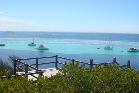 Rottnest Bayseeker Bus Tour From Hillarys Boat Harbour - Accommodation Mount Tamborine 3