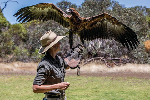 One Day Kangaroo Island Sip & See Tour With Return Ferry Transfers From Adelaide - Accommodation Mount Tamborine 0