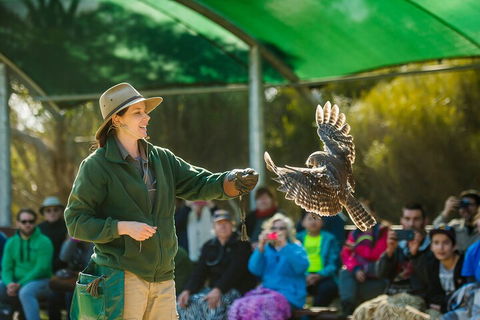 One Day Kangaroo Island Sip & See Tour With Return Ferry Transfers From Adelaide - Accommodation Mount Tamborine 3