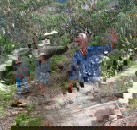 Small-Group Blue Mountains Tour with Bush Walks and Featherdale Wildlife Park - Accommodation Mount Tamborine