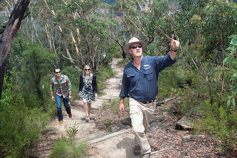 Small-Group Blue Mountains Tour With Bush Walks And Featherdale Wildlife Park - Accommodation Mount Tamborine 0