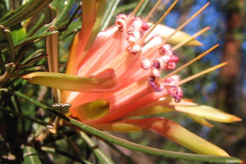 Small-Group Blue Mountains Tour With Bush Walks And Featherdale Wildlife Park - Accommodation Mount Tamborine 4