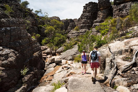 Grampians National Park With Kangaroos And MacKenzie Falls From Melbourne - Accommodation Mount Tamborine 3