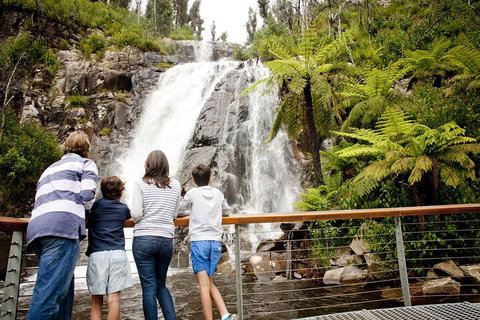 Melbourne Snow Trip To Lake Mountain With Chocolates Visit To A Waterfall - Accommodation Mount Tamborine 3