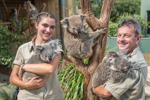 Sydney Wine Tour â€“ Wine, Waves & Wildlife In South Coast - Accommodation Mount Tamborine 2