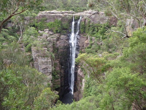 Sydney Wine Tour â€“ Wine, Waves & Wildlife In South Coast - Accommodation Mount Tamborine 3