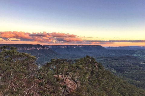 Blue Mountains Sunset Tour | Kangaroos & Koala Encounter (Private Tour) - Accommodation Mount Tamborine 0
