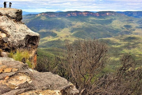 Blue Mountains Sunset Tour | Kangaroos & Koala Encounter (Private Tour) - Accommodation Mount Tamborine 4