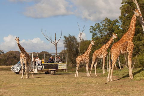 Off-Road Safari At Werribee Open Range Zoo - Accommodation Mount Tamborine 3