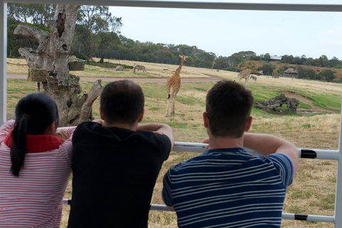 Off-Road Safari At Werribee Open Range Zoo - Accommodation Mount Tamborine 4