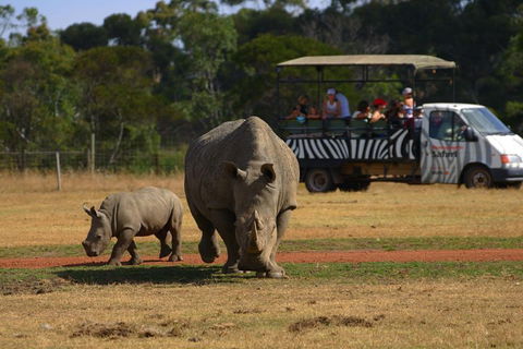 Off-Road Safari At Werribee Open Range Zoo - Accommodation Mount Tamborine 5