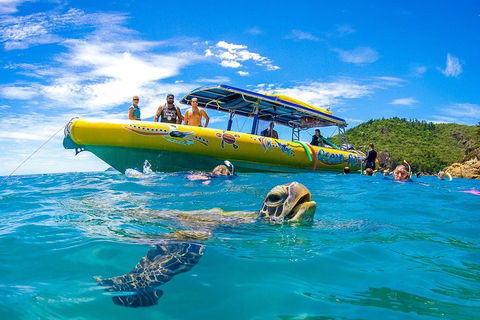 Great Barrier Reef Scenic Flight And Ocean Rafting Whitehaven Beach Day Trip - Accommodation Mount Tamborine 1
