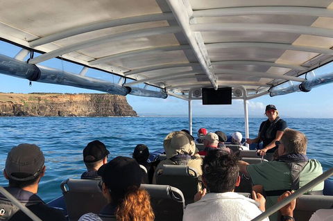 Julian Rocks Byron Bay Cruise - Accommodation Mount Tamborine 4